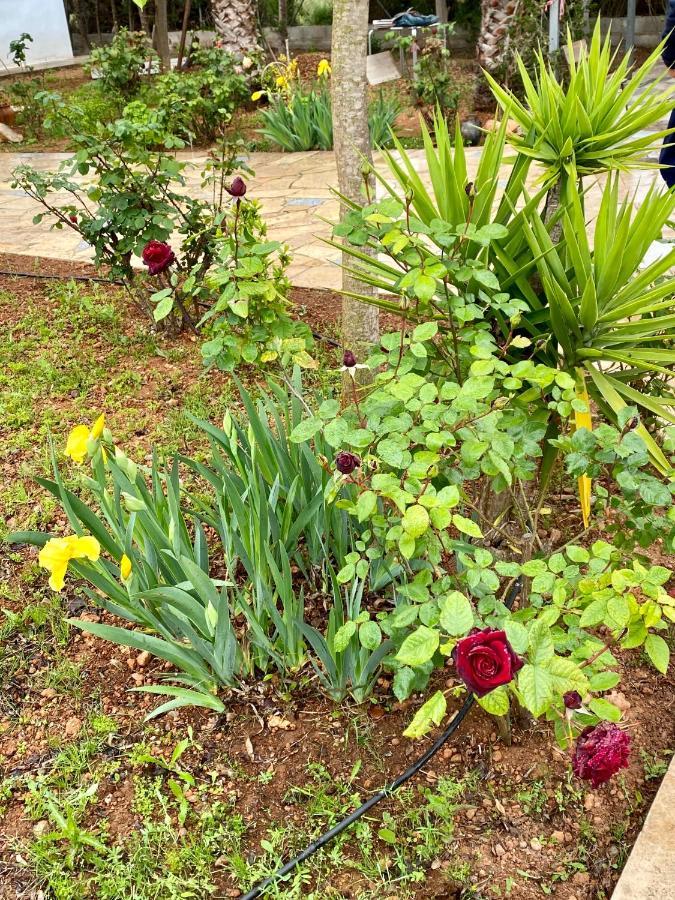 Bed and Breakfast Casa Dominaty Calig Екстер'єр фото