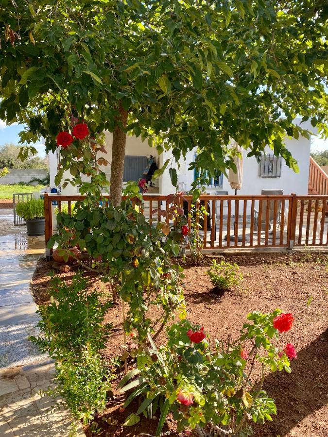 Bed and Breakfast Casa Dominaty Calig Екстер'єр фото