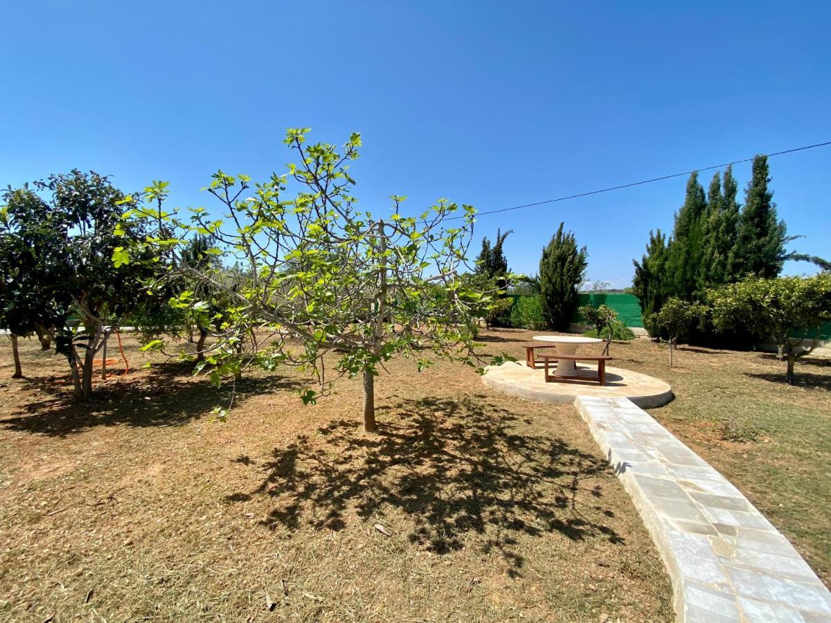 Bed and Breakfast Casa Dominaty Calig Екстер'єр фото