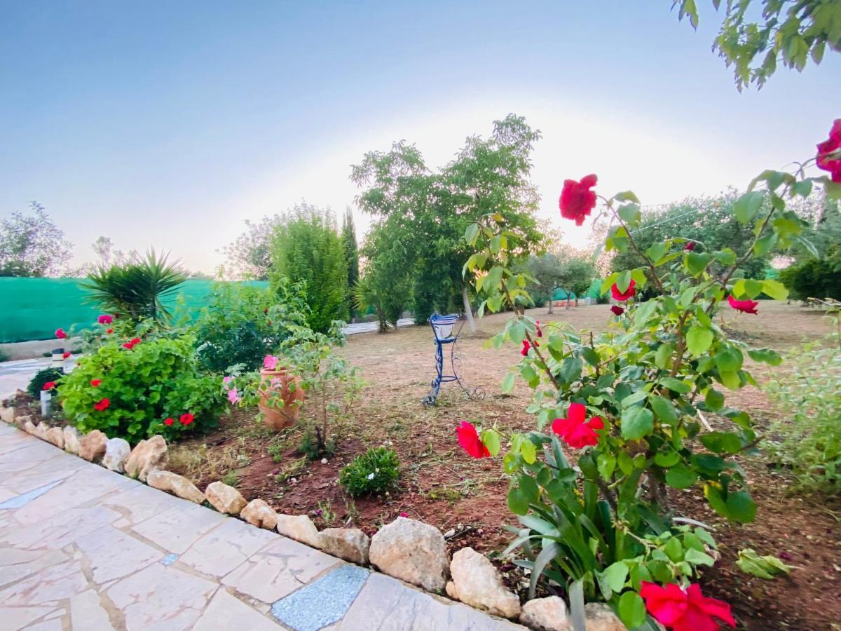 Bed and Breakfast Casa Dominaty Calig Екстер'єр фото
