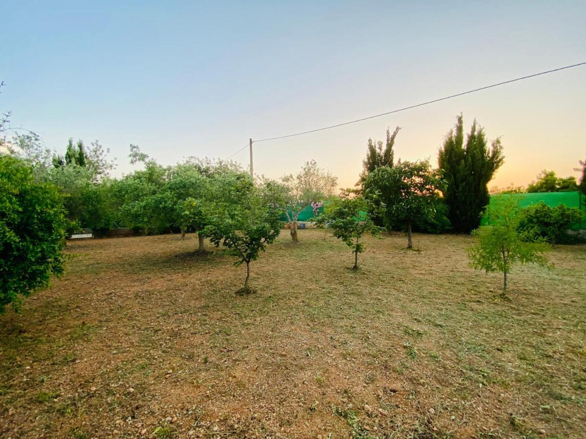 Bed and Breakfast Casa Dominaty Calig Екстер'єр фото