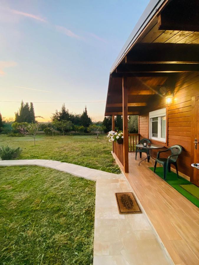 Bed and Breakfast Casa Dominaty Calig Екстер'єр фото